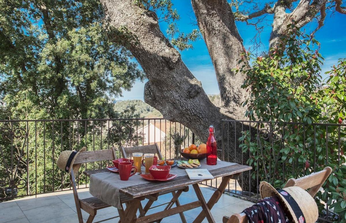 Apartmán Domaine Ghjulia Patrimonio Exteriér fotografie