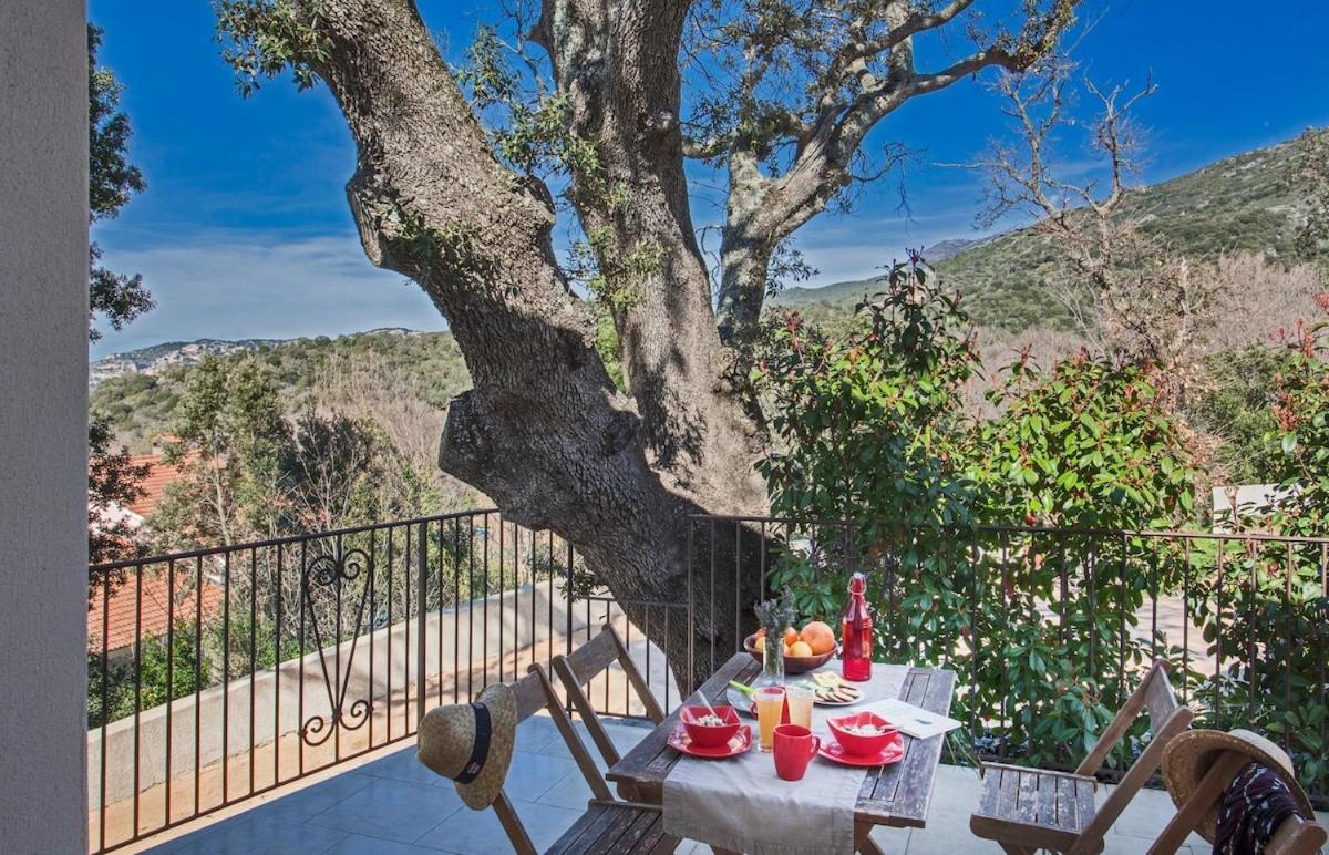 Apartmán Domaine Ghjulia Patrimonio Exteriér fotografie